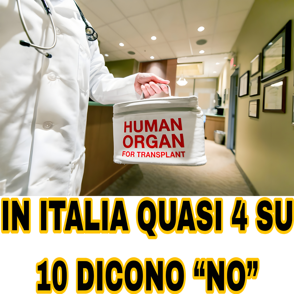 Donare gli organi può salvare fino a 7 vite, ma quasi il 40% degli italiani continua a opporsi. Le motivazioni?