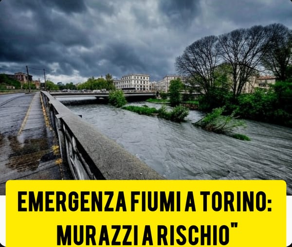 Torino, fiumi sorvegliati speciali: si valuta la chiusura dei Murazzi