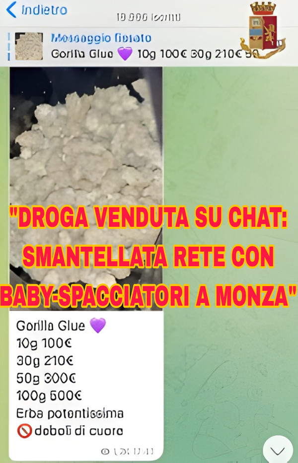 "Monza, rete di spaccio su Telegram: scoperti anche adolescenti tra i pusher