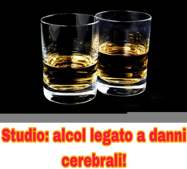 L’alcol danneggia il cervello? Uno studio rivela rischi choc!